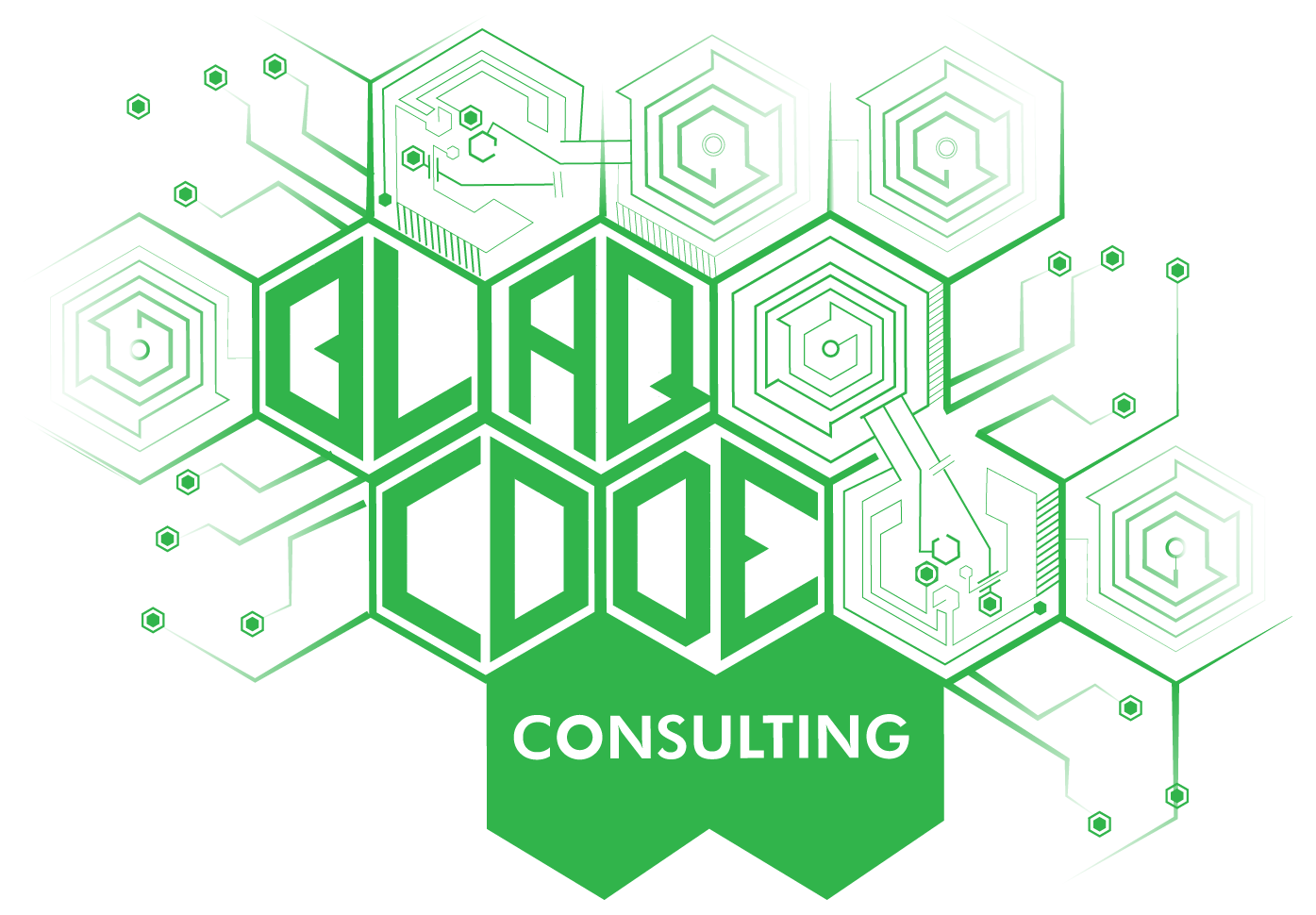 Blaq Code Consulting